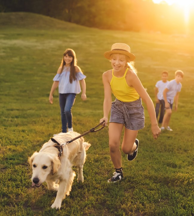 grupa dzieci biegnie po łące z psem