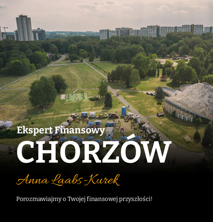 ekspert finansowy Chorzów - widok na Park Śląski z halą Kapelusz